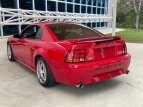 Thumbnail Photo 8 for 1999 Ford Mustang Cobra Coupe